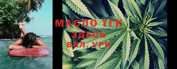 дмт Богородицк