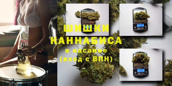 спайс Богданович