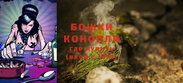 спайс Богданович