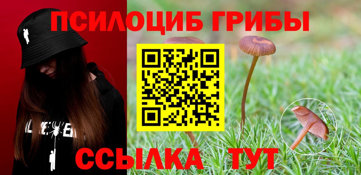 Галлюциногенные грибы Psilocybe  купить наркотик  Верхний Уфалей  Вход с VPN 