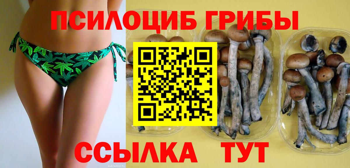 наркошоп  Верхний Уфалей  Галлюциногенные грибы MAGIC MUSHROOMS  Псилоцибиновые грибы Cubensis 